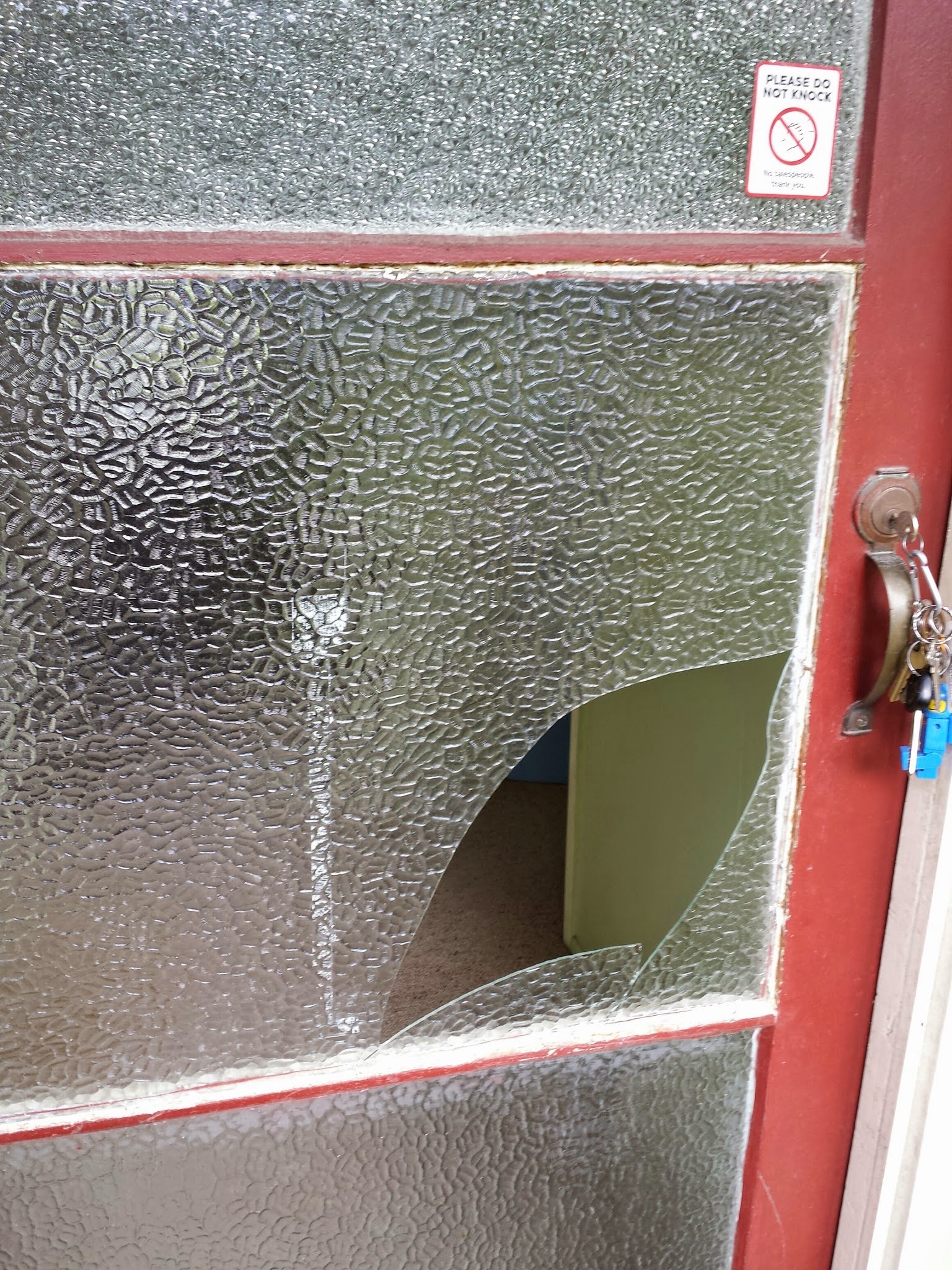 Frosted front door panel